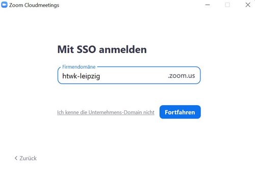Screenshot: Login-Feld für die SSO-Anmeldung, in welchem die Firmendomäne eingegeben werden muss.